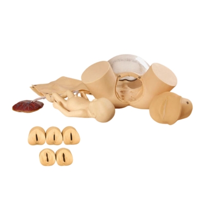 高級分娩綜合技能訓(xùn)練模型